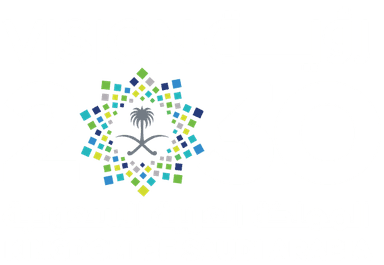 رؤية 2030