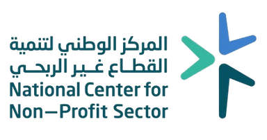القطاع غير الربحي